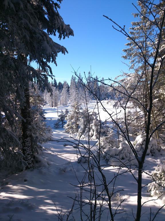 Schwarzwald-Chalet Feldberg Feldberg  Εξωτερικό φωτογραφία