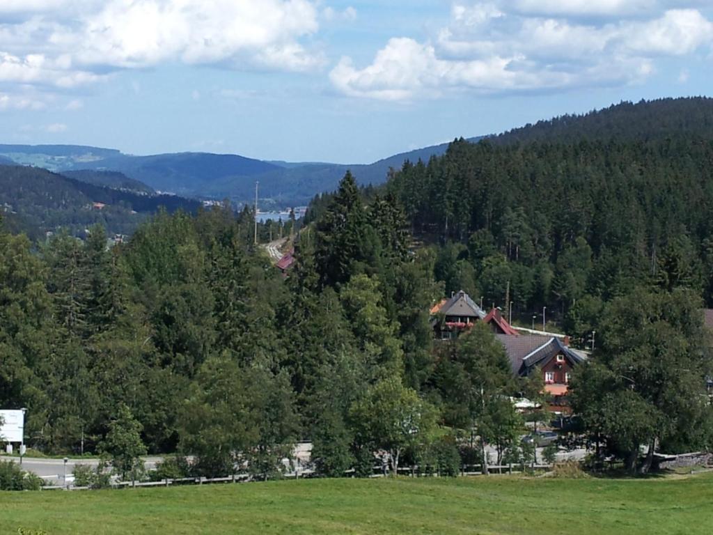 Schwarzwald-Chalet Feldberg Feldberg  Εξωτερικό φωτογραφία